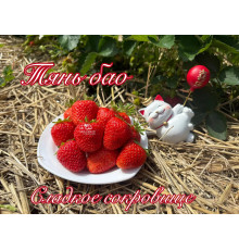 Клубника китайская Tian bao, Тянь Бао, Тиан Бао, сладкое сокровище, 55 саженцы