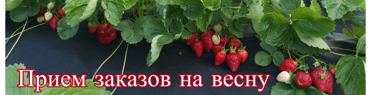 Собственное производство