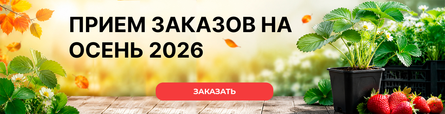 Осень 2026