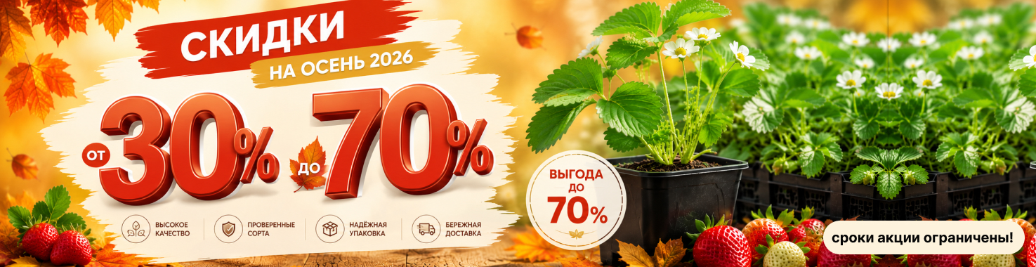 Скидки на Осень 2026