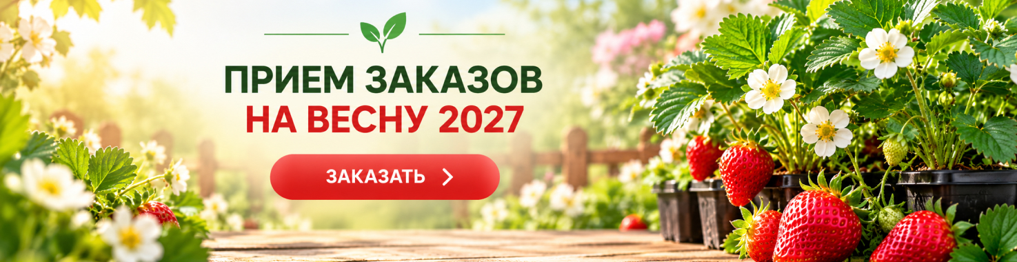 Прием заказов на весну 2027