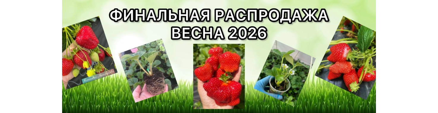 Финальная распродажа