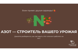Азот работает на вас или против вас?