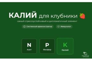 Все секреты КАЛИЯ!