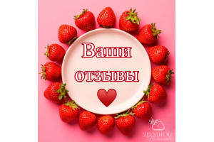 Отзывы о нас