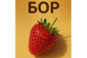 Зачем вашей клубнике БОР???