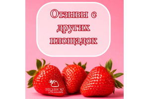 Отзывы о нас на других площадках