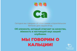 КАЛЬЦИЙ = КАЧЕСТВО вашего урожая!!!