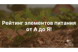 Питание от А до Я !!!