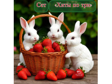 Сет "Хиты по три" 