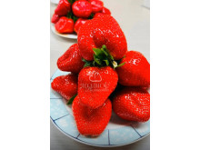 Китайская клубника Yue xiu - Юэсю, 19 , саженцы