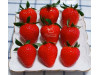 Китайская клубника Yue xiu - Юэсю, 19 , саженцы