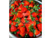 Китайская клубника Yue xiu - Юэсю, 19 , саженцы