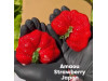 Клубника китайская Tian wang (Amaou) - Сладкая королевская 22 япон саженцы