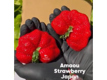 Клубника китайская Tian wang (Amaou) - Сладкая королевская 22 япон саженцы