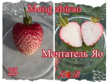 Клубника китайская Meng zhiyao Мэнчжияо-мечтатель Яо 25 саженцы