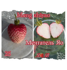 Клубника китайская Meng zhiyao Мэнчжияо-мечтатель Яо 25 саженцы