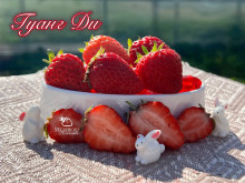 Клубника китайская  guang dian Гуанг Ди  29 саженцы