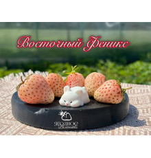 Клубника китайская dongfang fenghuang-восточный феникс 35 саженцы