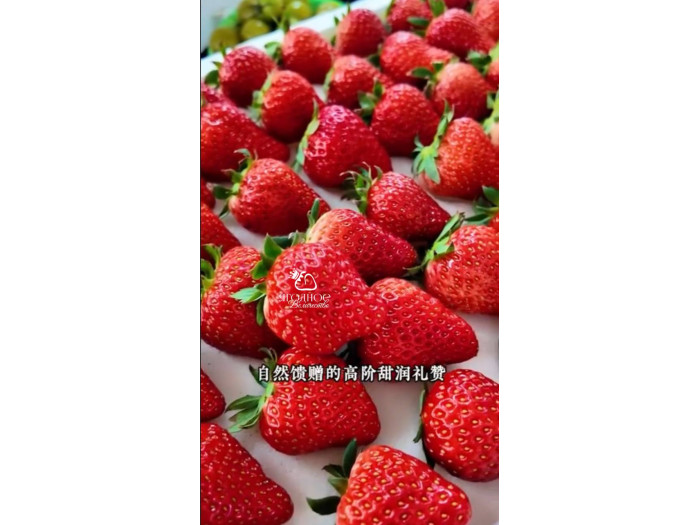 Клубника китайская hong yan Хонг ян 42 саженцы