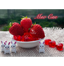 Клубника китайская miao xiiang мяосян 48 саженцы