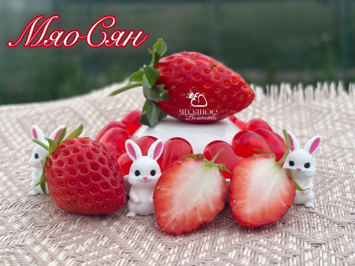 Клубника китайская miao xiiang мяосян 48 саженцы