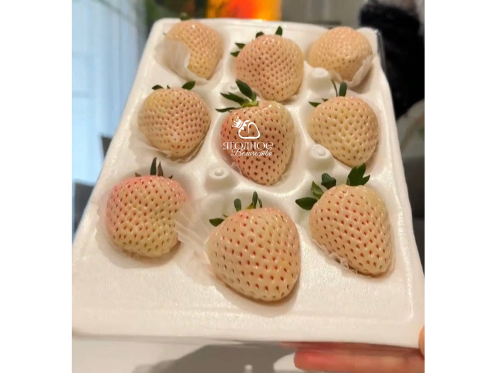 Клубника китайская Bai xue gongzhu Белоснежка 51 саженцы