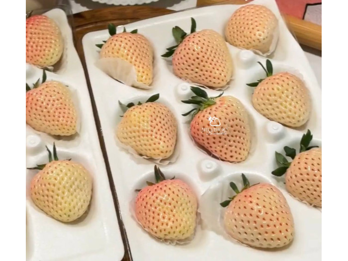 Клубника китайская Bai xue gongzhu Белоснежка 51 саженцы