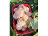 Клубника китайская Bai xue gongzhu Белоснежка 51 саженцы