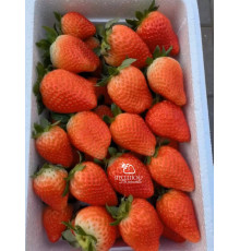 Клубника китайская jing zang  цзин цзанг сян- 56 ароматная саженцы