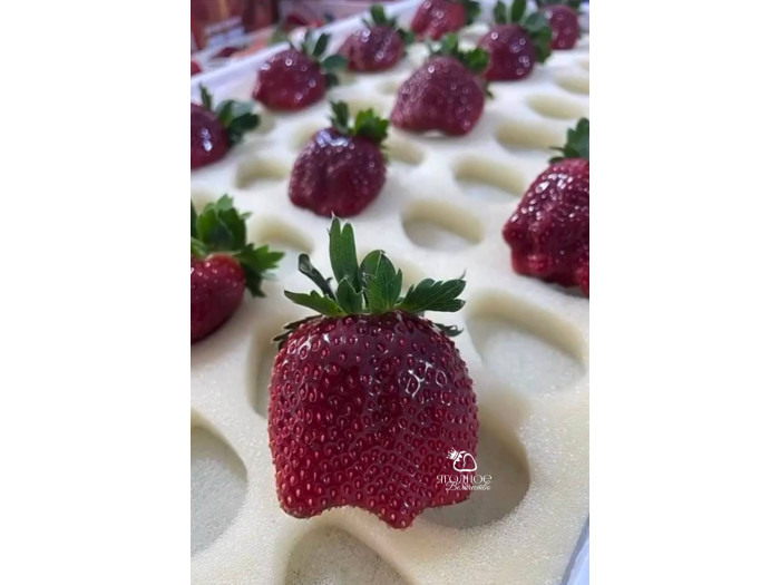 Клубника китайская zhenhong meiling Черный Жемчуг 61 саженцы