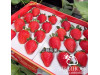 Клубника китайская Jin gang 2 Кинг конг 2 64  саженцы