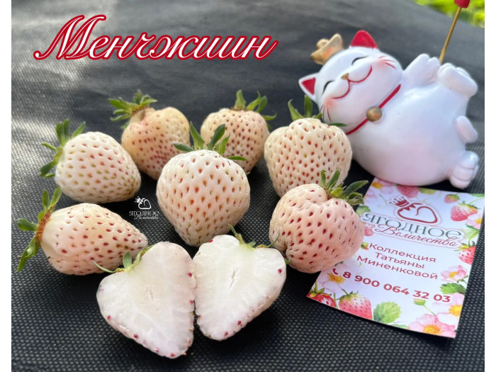 Клубника китайская meng zhiying  Менчжиин  68 саженцы