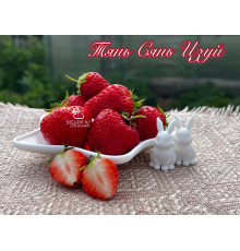 Клубника китайская Tian xian zui тяньсяньцзуй 69 саженцы