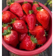 Клубника китайская Tian xian zui тяньсяньцзуй 69 саженцы