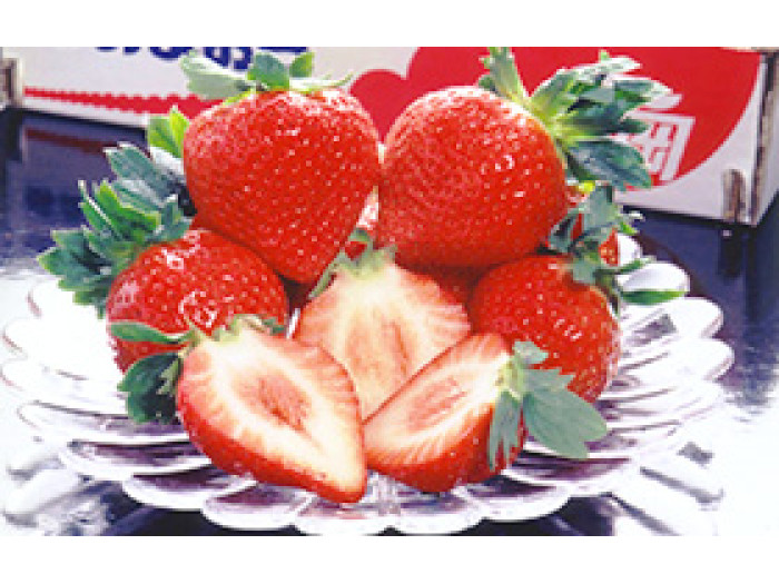 Клубника китайская Tian wang (Amaou) - Сладкая королевская 22 япон саженцы