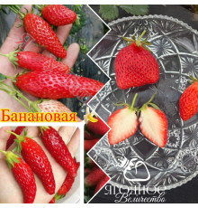 Китайская клубника xiang jiao Банановая клубника (пересорт) - 58 , саженцы