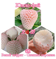 Клубника китайская Yue xue fei Белый нефрит, Снежная королева,  62 саженцы