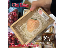 Китайская клубника chu lian Белый любовник, Первая любовь 71 , саженцы