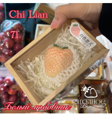 Китайская клубника chu lian Белый любовник 71 , саженцы