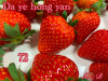 Клубника китайская da ye hong yan 72 саженцы