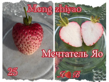 Клубника китайская Meng zhiyao Мэнчжияо-мечтатель Яо 25 саженцы