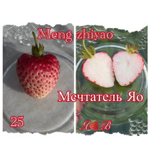 Клубника китайская Meng zhiyao Мэнчжияо-мечтатель Яо 25 саженцы