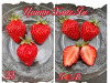 Клубника китайская  qing qi hong yan - Цин ци Хонг ян, 23, саженцы