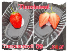 Клубника китайская Tian xian zui тяньсяньцзуй 69 саженцы