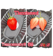 Клубника китайская Tian xian zui тяньсяньцзуй 69 саженцы