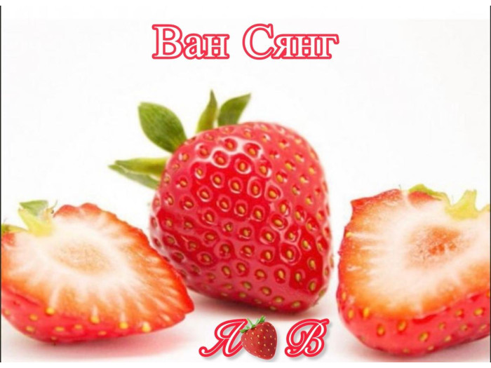 Клубника китайская Wan xiang Ван Сянг 41 саженцы