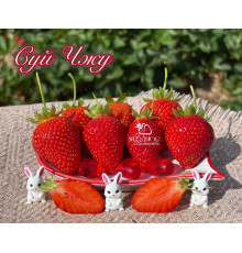 Клубника китайская Sui zhu Суй Чжу 2019 НСД япон  саженцы