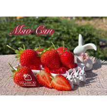 Клубника китайская miao xiiang Мяо Сян НСД 2019 саженцы