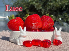 Клубника ремонтантная Luce, Люси, саженцы